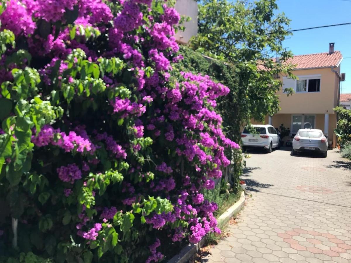 Lipo Je Apartment Zadar Ngoại thất bức ảnh